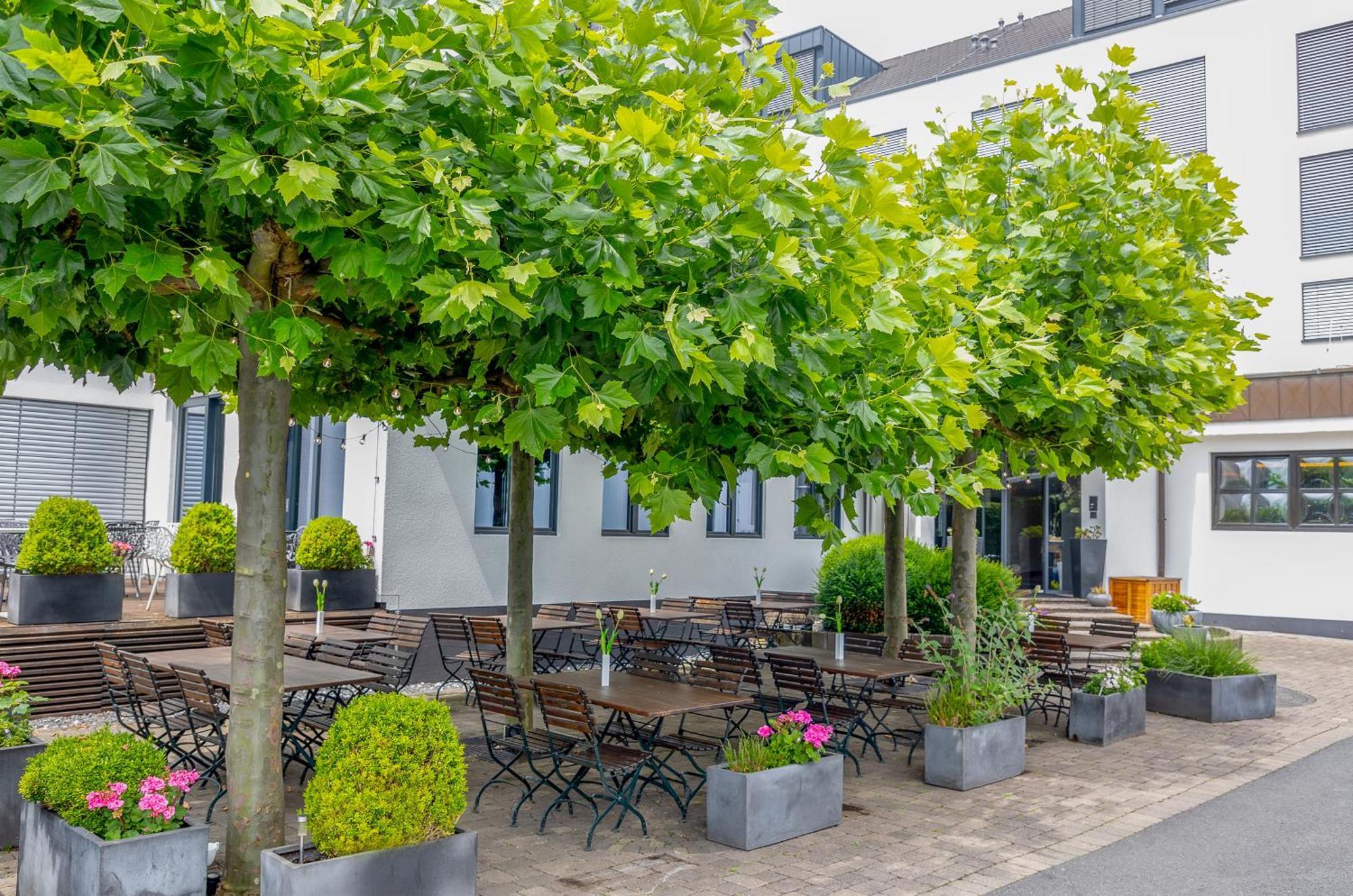 &Repeat Koeln Airport Hotel Eksteriør billede